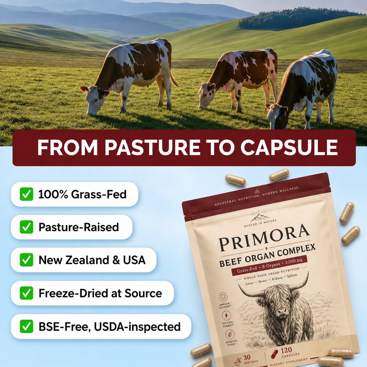 Primora Complete Multivitamin